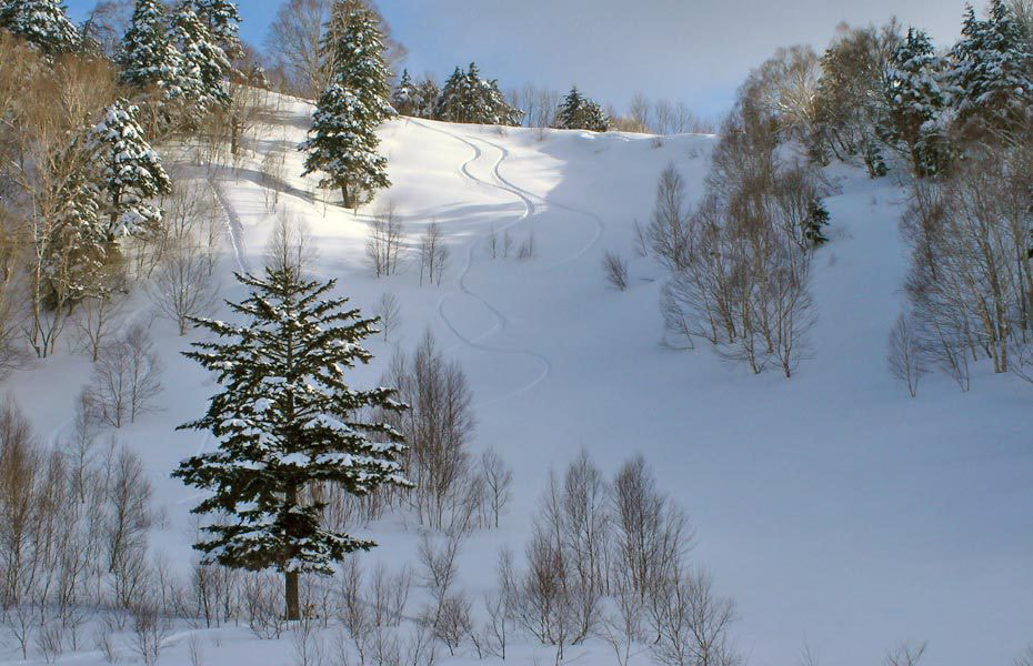 バックカントリー